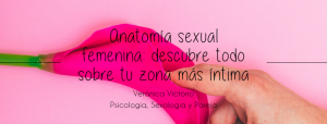 anatomia sexal femenina